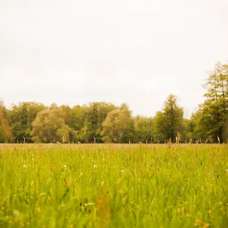 Logierhaus Lehde Πανσιόν 3*