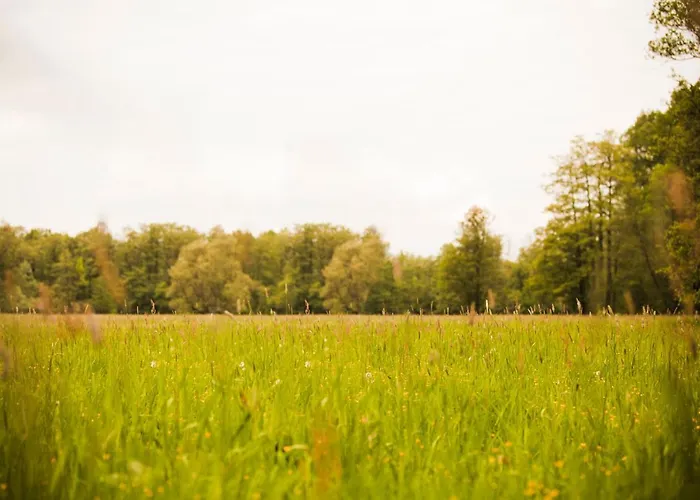 Logierhaus Lehde Pensionat 3*